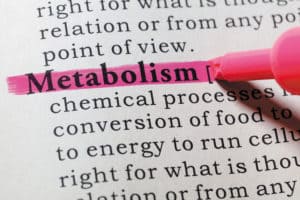 Metabolism