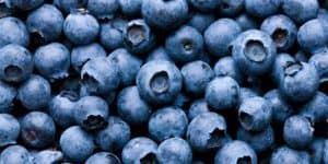 Blueberries- Nutritional Importance