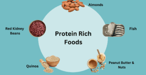 Protein Rich Foods