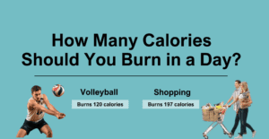 how many calories should i burn a day